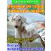 Itching spray for dogs is suitable for any age