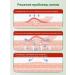 Ointment from Lipoma and Girovikov Chinese 55 g - Buy Online on GoSupps.com