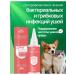 Hargon drops with antibacterial for cats and dogs 60ml - Buy Online on GoSupps.com
