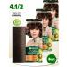 Garnier Persistent hair cream Color Naturals 4. 1 2 3pcs