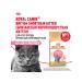 ROYAL CANIN Dry food for British Shorthair kittens 2 kg