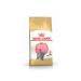 ROYAL CANIN Dry food for British Shorthair kittens 2 kg - Buy Online on GoSupps.com
