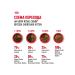 ROYAL CANIN Dry food for British Shorthair kittens 2 kg - Buy Online on GoSupps.com