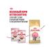 ROYAL CANIN Dry food for British Shorthair kittens 2 kg - Buy Online on GoSupps.com