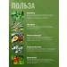 SALUS Nettle + avocado yarrow and rosehip 60 capsules - Buy Online on GoSupps.com