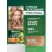 Garnier Persistent hair cream Color Naturals 8.132