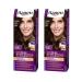 Palette Persistent cream-painting 3-65 W-2 dark chocolate 110ml.- 2pcs
