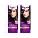 Palette Hair Cream RFE3 eggplant 4-89 110ml.- 2pcs