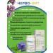Nervo-vit 100 tablets of 0.24 g - Buy Online on GoSupps.com
