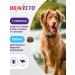 bravecto Dog tablets 1000 mg 4.5-10 kg - Buy Online on GoSupps.com