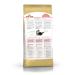ROYAL CANIN Dry food for Persian kittens Persian Kitten up to 12 months 2kg - Buy Online on GoSupps.com