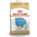 ROYAL CANIN Dry food for French bulldog puppies 3 kg