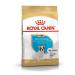 ROYAL CANIN Dry food for French bulldog puppies 3 kg - Buy Online on GoSupps.com