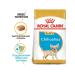 ROYAL CANIN Dry Feed Chihuahua Puppy for Chihuahua puppies up to 8 months 1.5 kg - Buy Online on GoSupps.com