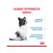 ROYAL CANIN Dry Feed X-Small Puppy for small puppies 2-10 months 1.5 kg - Buy Online on GoSupps.com