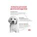 ROYAL CANIN Dry for puppies Gastrointestinal Puppy 10 kg - Buy Online on GoSupps.com