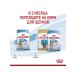 ROYAL CANIN Feed for medium puppies up to 2 months. Medium Starter 4 kg - Buy Online on GoSupps.com