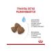 ROYAL CANIN Feed for medium puppies up to 2 months. Medium Starter 4 kg - Buy Online on GoSupps.com