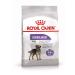 ROYAL CANIN Mini sterilized food steril. Small -tree suits 3kg - Buy Online on GoSupps.com