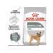 ROYAL CANIN Dry feed for small dogs mini dental car 1 kg - Buy Online on GoSupps.com