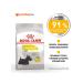 ROYAL CANIN Mini dermacomfort 3 kg feeding