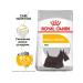 ROYAL CANIN Mini dermacomfort 3 kg feeding - Buy Online on GoSupps.com