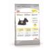 ROYAL CANIN Mini dermacomfort 3 kg feeding - Buy Online on GoSupps.com