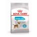 ROYAL CANIN Mini Urinary Care for small dogs ICB prevention 1 kg - Buy Online on GoSupps.com