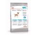 ROYAL CANIN Mini Urinary Care for small dogs ICB prevention 1 kg - Buy Online on GoSupps.com