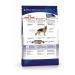ROYAL CANIN Dry Maxi Adult food for large dogs from 15 months 3 kg - Buy Online on GoSupps.com