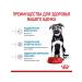 ROYAL CANIN Maxi Puppy for large species of 2-15 months 3 kg - Buy Online on GoSupps.com