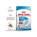 ROYAL CANIN Giant Puppy for puppies 2-8 months. giant breeds 3.5 kg - Buy Online on GoSupps.com
