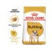ROYAL CANIN Bulldog Adult for dogs of breed bulldog from 12 months 12 kg - Buy Online on GoSupps.com