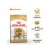ROYAL CANIN Golden Retriever for dog dogs Retriever from 15 months 12kg