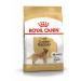 ROYAL CANIN Golden Retriever for dog dogs Retriever from 15 months 12kg - Buy Online on GoSupps.com