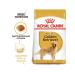 ROYAL CANIN Golden Retriever for dog dogs Retriever from 15 months 12kg - Buy Online on GoSupps.com