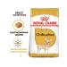 ROYAL CANIN Dry food chihuahua adult for Chihuahua from 8 months 1.5 kg - Buy Online on GoSupps.com