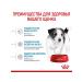 ROYAL CANIN Dry Mini Puppy food for small puppies 2-10 months 2 kg - Buy Online on GoSupps.com