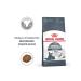 ROYAL CANIN Cat food from dental Care denture 1.5 kg - Buy Online on GoSupps.com