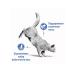 ROYAL CANIN Dry food for cats from 1 year Light Weight 8 kg - Buy Online on GoSupps.com