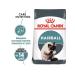 ROYAL CANIN Hairball hair lumps food for cats from hair lumps - Buy Online on GoSupps.com