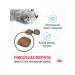 ROYAL CANIN Dry feed Urinary Care for cats ICB prevention 2 kg - Buy Online on GoSupps.com