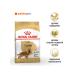 ROYAL CANIN Cocker Adult for dogs of the breed Coker-Spaniel from 1 year 3kg