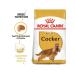 ROYAL CANIN Cocker Adult for dogs of the breed Coker-Spaniel from 1 year 3kg - Buy Online on GoSupps.com