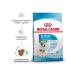 ROYAL CANIN Feed for small puppies up to 2 months Mini Starter 1 kg - Buy Online on GoSupps.com