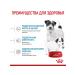 ROYAL CANIN Feed for small puppies up to 2 months Mini Starter 3 kg - Buy Online on GoSupps.com