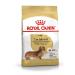 ROYAL CANIN Dachshund adult food for dogs dash of 10 months 1.5 kg - Buy Online on GoSupps.com