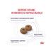 ROYAL CANIN Feed for castrated dogs of medium rocks Neutered 3.5kg - Buy Online on GoSupps.com