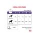 ROYAL CANIN Feed for castrated dogs of medium rocks Neutered 3.5kg - Buy Online on GoSupps.com