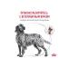 ROYAL CANIN Gastrointestinal Low Fat Dry Form for Dogs 1.5 kg - Buy Online on GoSupps.com